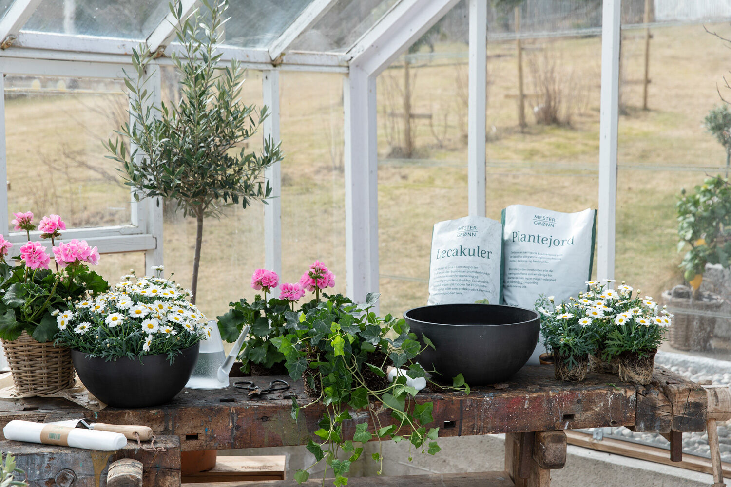 Planting med jord og leca Planting med jord og leca